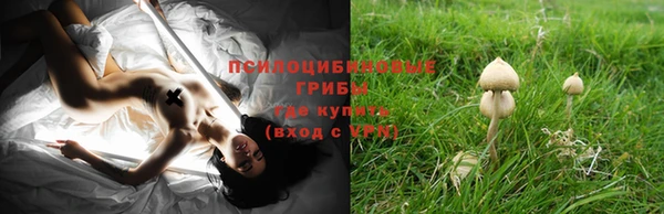 винт Магадан