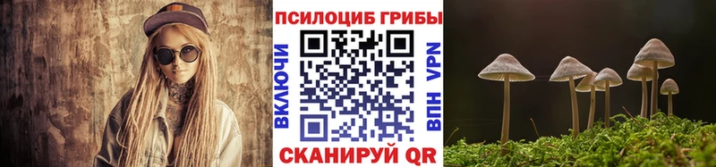 Купить  Иннополис  Псилоцибиновые грибы Psilocybine cubensis 