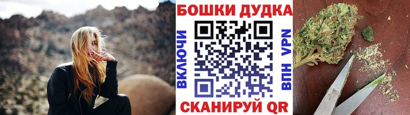Купить где  Иннополис  Канабис OG Kush 